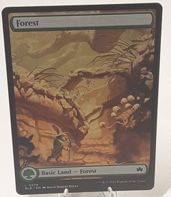 MTG - Bloomburrow - Forest #0279 - Full Art - #0279 - Playset x4 - Near Mint - Image 1