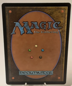MTG - Bloomburrow - Forest #0279 - Full Art - #0279 - Playset x4 - Near Mint - Image 3