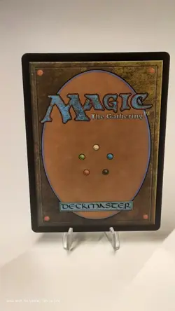 MTG - Bloomburrow - Forest #0278 - Full Art - #0278 - Playset x4 - Near Mint - Image 3