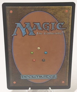 MTG - Bloomburrow - Forest #0278 - Foil - #0278 - Playset x4 - Near Mint - Image 3