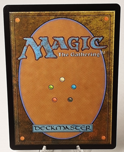 MTG - Bloomburrow - Keen-Eyed Curator - #0181 - Playset x4 - Near Mint - Image 3