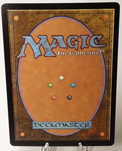 MTG - Bloomburrow - Island - Full Art - Foil - #0267 - Playset x4 - Near Mint - Image 3