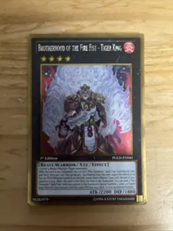 BROTHERHOOD OF THE FIRE FIST - TIGER KING (PGLD-EN045) - YuGiOh Gold 1st Ed. - Image 1