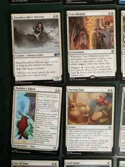 Mtg Small White Bundle: Swords To Plowshares, Wrath Of God, Retro Plains Etc - Image 5