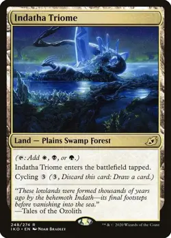 1 MTG Indatha Triome - 248 / English / Near Mint - Image 1