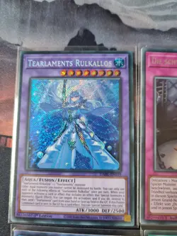 Yugioh Sammlung / Kartenset Secret Rare Selten / Meta / I:P / Die Schwarze Ziege - Image 5