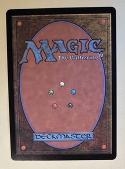 2024 Magic The Gathering Ocelot Pride (Modern Horizons 3) FREE SHIPPING (MTG) - Image 2
