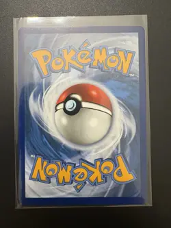 Pokemon Flannery Chilling Reign 215/198 Secret Rare Full Art Rainbow Holo TCG - Image 2