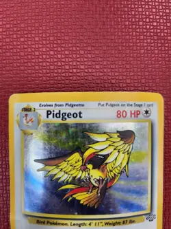 Pidgeot 8/64 Jungle Holo Rare Pokemon TCG ((MP)) TO ((HP)) - Image 3
