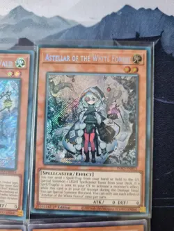Yugioh Sammlung / Kartenset Meta Stark White Forest / Caius .... - Image 4
