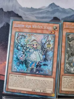 Yugioh Sammlung / Kartenset Meta Stark White Forest / Caius .... - Image 5