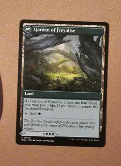 MTG Disciple of Freyalise x1 NM from Modern Horizons 3 - Image 2