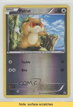 Patrat Reverse Foil Pokemon Black & White Base Set #77 READ n1u - Image 1