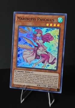 Yugioh Marincess Pascalus IGAS-EN093 Super Rare 1st Ed+ Mermail Water 5 Card Lot - Image 1