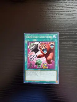 Yugioh Justice Hunters - Obedience Schooled - Rare - JUSH-EN029 - Image 1