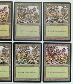 8 x Forest | Mirage | MTG | Magic The Gathering - Image 5