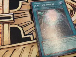 Ancient Forest ANPR-EN048 Super Rare LP Yugioh Card - Image 2