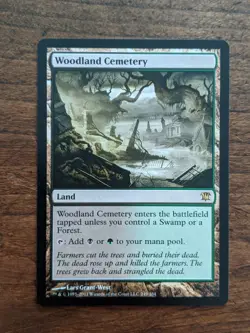 Woodland Cemetery - Dominaria - Excellent - Magic MTG - Image 1