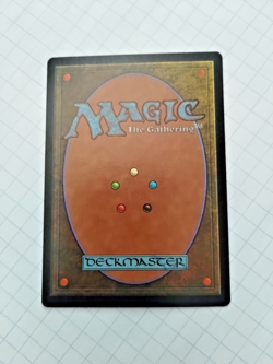 MTG Swamp (Tempest) Anthologies Regular Land - Bit of Edge Wear - See Pics - Image 3