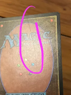 MTG - Magic the Gathering - Yavimaya Hollow - Urza’s Destiny - Land - LP - Image 3