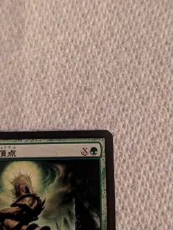 Green Sun's Zenith (JA) MBS Japanese LP MTG - Lightly Played - Image 3