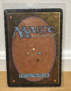 MTG Fungal Bloom Fallen Empires Rare LP - Image 2