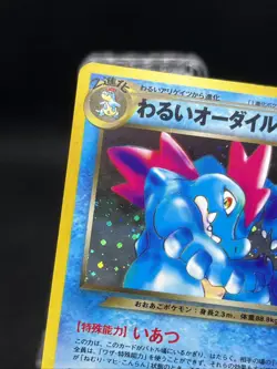 Dark Feraligatr 160 Swirl Holo Neo Destiny 2001 NEO 4 Pokemon Card Japanese - Image 3