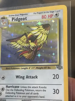Pidgeot Pokemon TCG WOTC 8/64 Jungle Base Set Card 1999 - NM - Image 2
