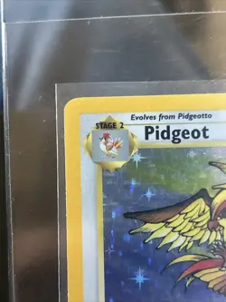 Pidgeot Pokemon TCG WOTC 8/64 Jungle Base Set Card 1999 - NM - Image 3