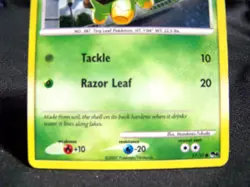 2007 Pokemon Turtwig #17 Holo Diamond & Pearl - LP - EX+ / NM- - Image 4