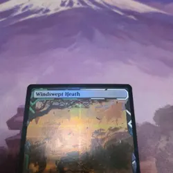 Mtg Windswept Heath Zne English Version Foil - Image 2