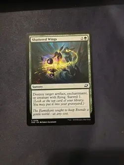 Shattered Wings - 0206 - Edge of Eternities - MTG - NM Ships Now - Image 1