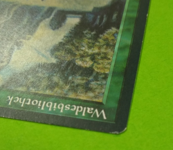 Waldesbibliothek (Sylvan Library) Renaissance (GERMAN) LP Magic MTG - Image 3