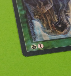 Waldesbibliothek (Sylvan Library) Renaissance (GERMAN) LP Magic MTG - Image 5