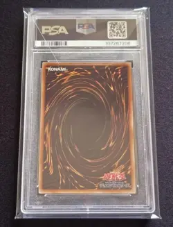 PSA10 YuGiOh Dark Magician Girl Apprentice 25th QCSE ALIN JP004 Japan - Image 2