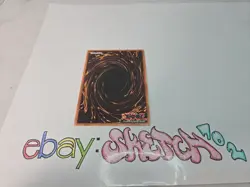 YUGIOH - BEASTKING OF THE SWAMPS - TP5-EN014 - COMMON - UNLIMITED - YGO TCG - Image 2