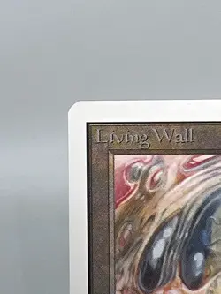 MTG LIVING WALL Unlimited Edition Regular NM/MT+ Uncommon Magic The Gathering - Image 3