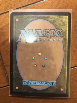 MTG Chocobo The Traveling Borderless Foil FF Collaboration JP NM Rare - Image 2