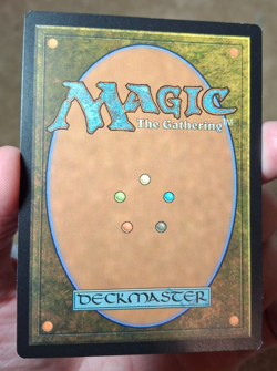 2021 MTG MAGIC THE GATHERING HALANA AND ALENA, PARTNERS CARD, 325 - Image 2