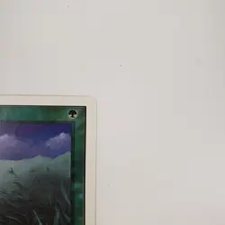 MTG Unlimited Lifelace - Image 3