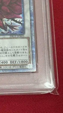 PSA10 YuGiOh Black Rose Dragon 20th Secret Rare Japan Card - Image 5