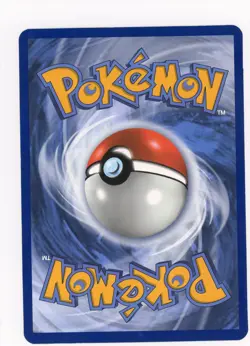 JUMBO- Pokemon- First Partner Pack- Mudkip 59/109 Oversized Promo - Image 2