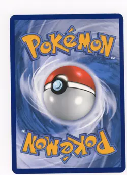 JUMBO- Pokemon- First Partner Pack- Mudkip 59/109 Oversized Promo - Image 4