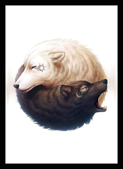 50 MTG Standard Card Sleeves Deck Protector - Ying Yang Wolves - Image 1