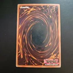 Yugioh! MP Black Stego - POTD-EN019 - Common - 1st Edition Moderately Played, En - Image 4