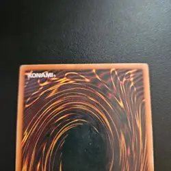 Yugioh! MP Black Stego - POTD-EN019 - Common - 1st Edition Moderately Played, En - Image 5