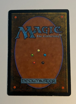 MTG Magic the Gathering Card LP - Merchant Scroll Homelands - Image 2