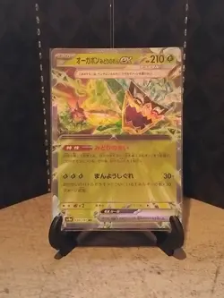 Pokemon Japanese Terastal Festival - Teal Mask Ogerpon Ex - 020/187 RR - M/NM - Image 1