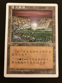 Rare 5Ed Shrub Forest Area V Mark MTG Plaid Card Playmat Used - Image 1