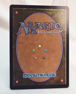 The Fire Crystal Borderless Foil Final Fantasy MTG Near Mint NM Fast Shipping - Image 2